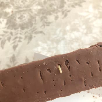 Ülker Albeni Kekinde Kurt Şoku