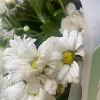 ÇiçekSepeti hat verdorbene Blumen geliefert, unzuverlässiger Service bei Bestellung