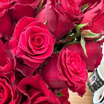 ÇiçekSepeti verwachsene Rosen zum Hochzeitstag, Geld zurück verlangen