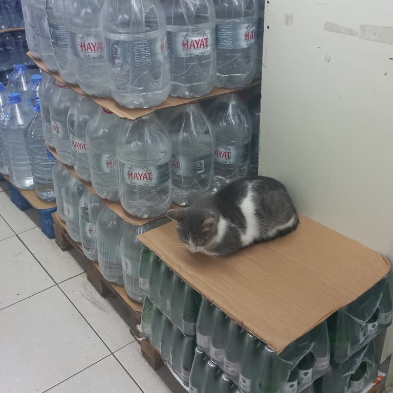 Mağaza İçindeki Çifte Standart Ve İletişim Sorunları