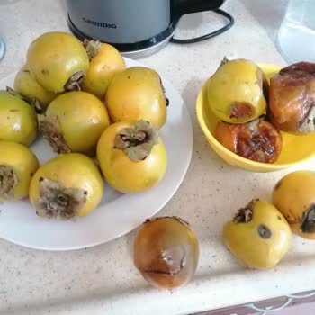 Harbiye Yöresel İlk ve Son Alışverişim Oldu