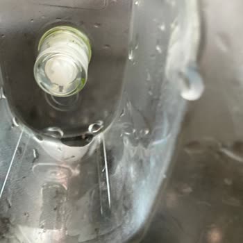 Brita Sürahisinin Yosun Sorunu