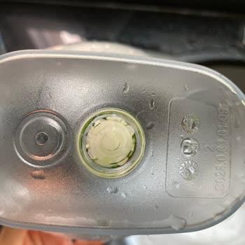 Brita Sürahisinin Yosun Sorunu