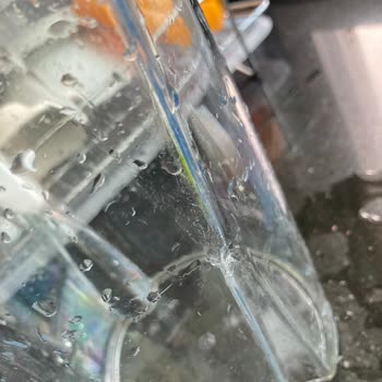 Brita Sürahisinin Yosun Sorunu