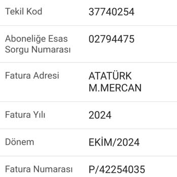 Çifte Ödeme Sorunu Ve İade Talebi