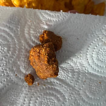 Taco Cipsin İçinden Çıkan Şaşırtıcı Madde