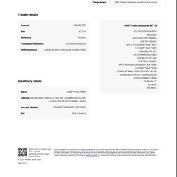 TEB Bankası'nda Bekleyen Havale: Euro Transfer Sorunu