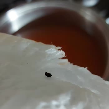 Nevgross'tan Alınan Mercimeklerde Böcek Sorunu