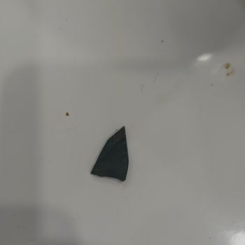 Tat Konservesinde Plastik Şoku