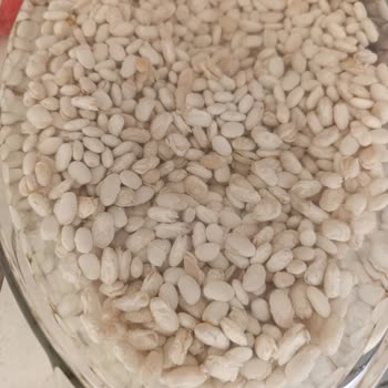 Anadolu Mutfağı Kuru Fasulye Hayal Kırıklığı