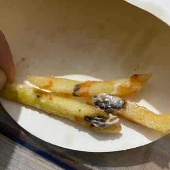 Burger King Siparişimdeki Gizemli Maddeler