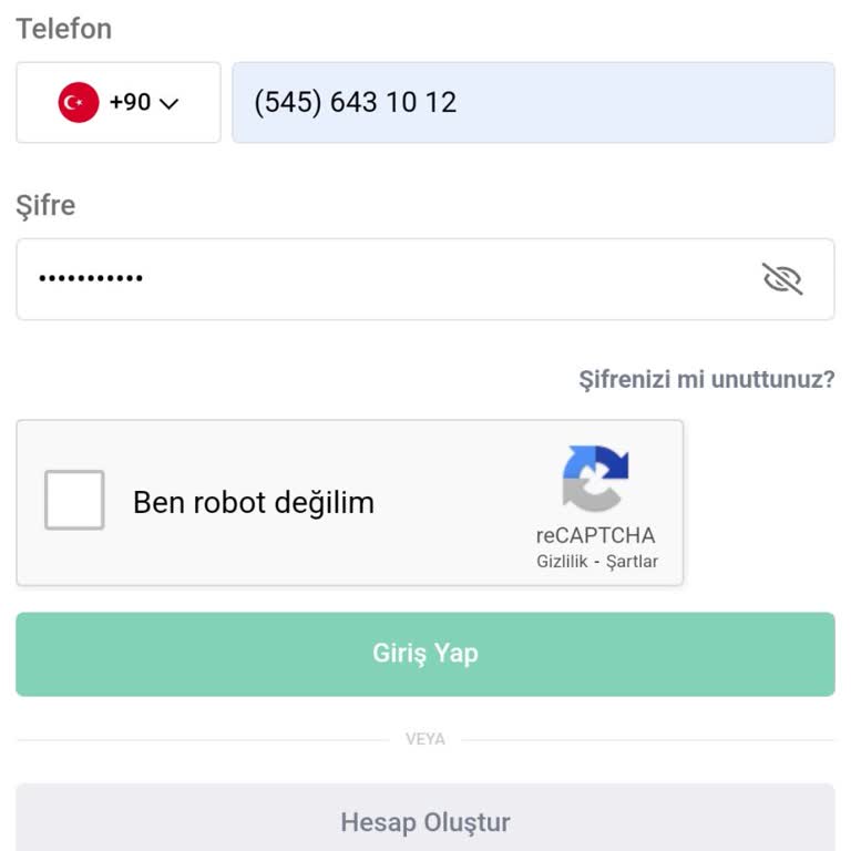 Hesap Erişim Sorunu Ve Güvenlik Endişesi