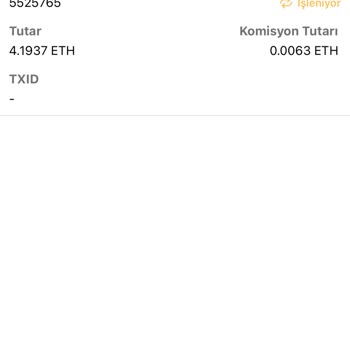 Bitci Borsasında ETH Çekim Sorunu Ve Müşteri Hizmetlerine Ulaşamama