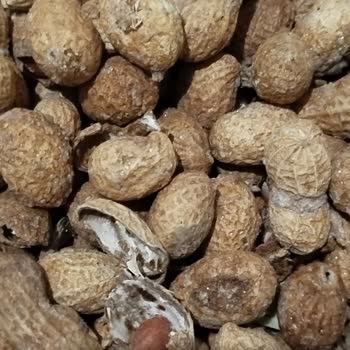 Cepte Şok'tan Aldığım Siparişteki Hayal Kırıklığı Ve Hijyen Sorunu