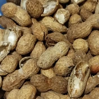 Cepte Şok'tan Aldığım Siparişteki Hayal Kırıklığı Ve Hijyen Sorunu