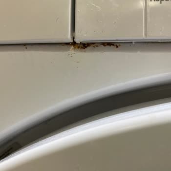 Arçelik Çamaşır Makinesi Çürüme Sorunu