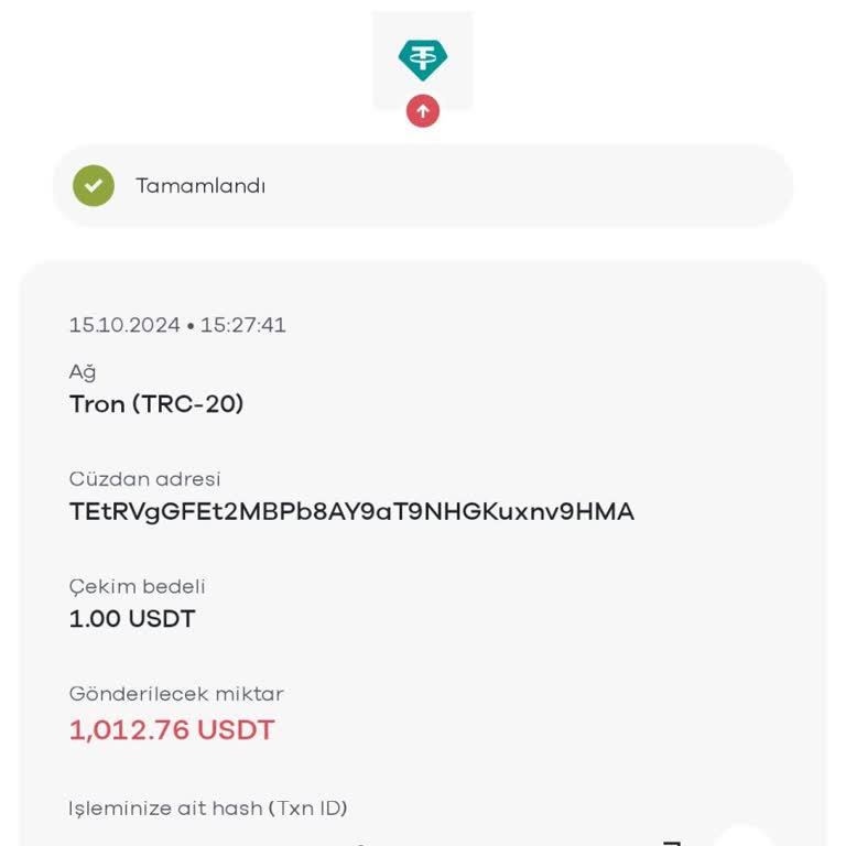 Paribu'da Güvenlik Sorunu Ve Müşteri Hizmetleri Desteği