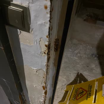 Devremülk Tatilinde Hayal Kırıklığı Ve Güvenlik Endişesi
