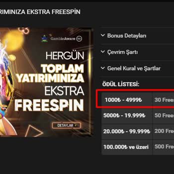 Free Spin Hakkı Verilmeyen Müşteri Mağduriyeti