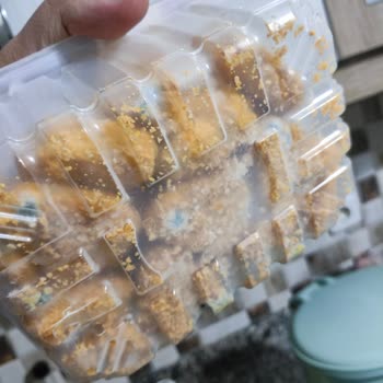 Gedik Marka Nuggetların Beklenmedik Küflenmesi