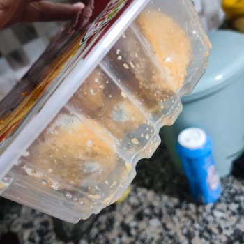 Gedik Marka Nuggetların Beklenmedik Küflenmesi