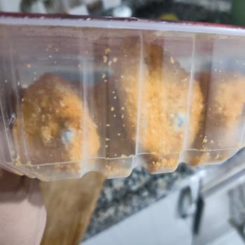 Gedik Marka Nuggetların Beklenmedik Küflenmesi