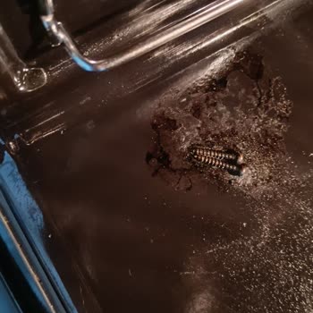 Sıfır Üründe Unutulan Vidalarla Gelen Hayal Kırıklığı