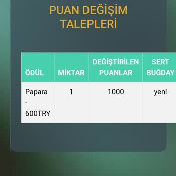 Jtn Panel'de Puanlarım Neden Paraya Dönüşmüyor?