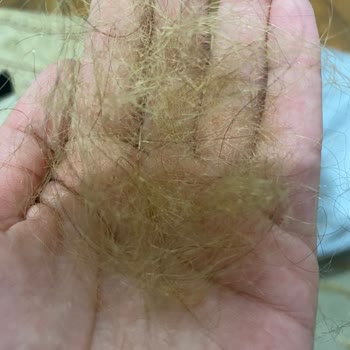 Kuaförde Hayal Kırıklığı: Yüksek Fiyat, Kötü Hizmet