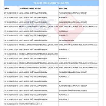 Kargo Teslimatında Mobil Dağıtım Sorunu Ve İade Şoku