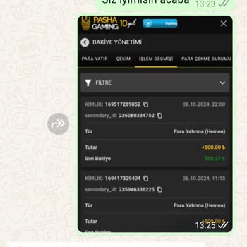 Pashagaming'de Hayal Kırıklığı: Ödeme Ve Bonus Sorunları