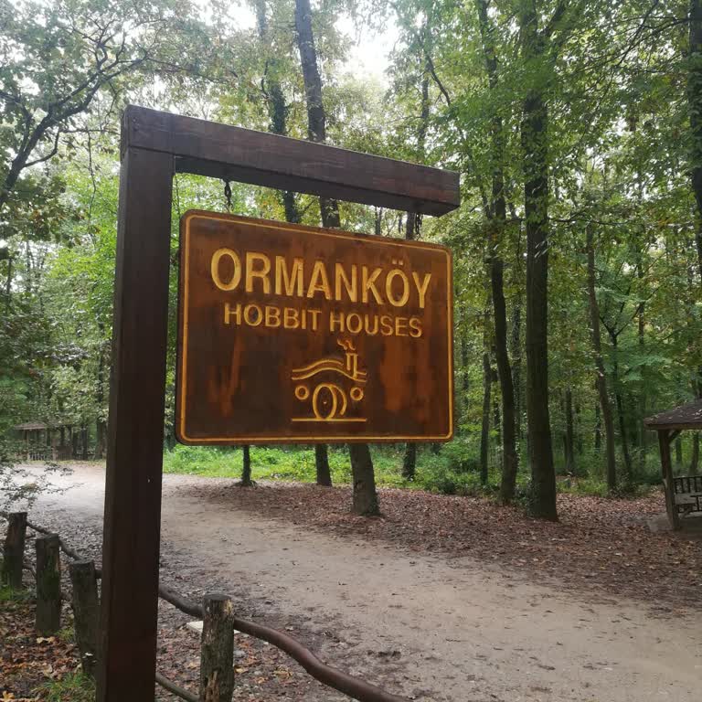 Pung Oyunu Yüzünden Rahatsızlık: Evli Ve Bekar Oyuncular Ayrılsın