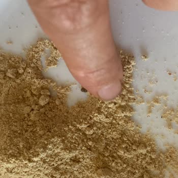 Zencefil Paketinde Böceklenme Şoku