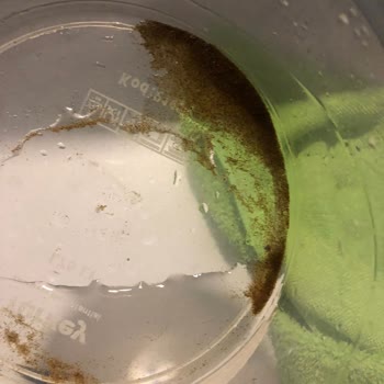 Kumlu Su Sorunu: Sağlık Ve Eşyalar Tehlikede!