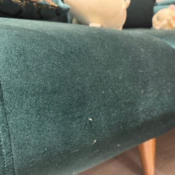Ürün Kalitesi Ve Müşteri Hizmetleri Sorunları