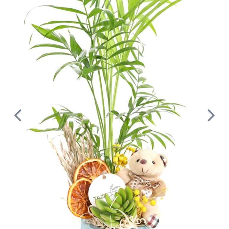 Yanıltıcı Ürün Görseli Ve İlgisiz Müşteri Hizmetleri