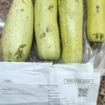 A101 Kapıda: Çürük Ürünler Ve Ulaşılamayan Müşteri Hizmetleri