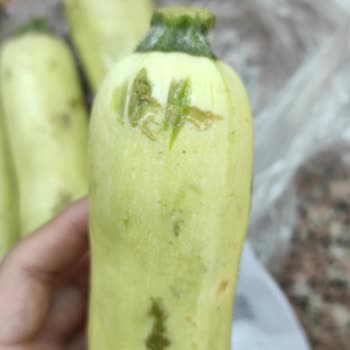 A101 Kapıda: Çürük Ürünler Ve Ulaşılamayan Müşteri Hizmetleri