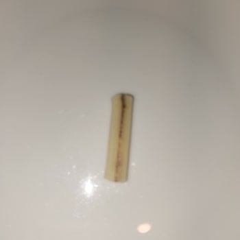 Sağlığı Tehdit Eden Makarna Deneyimi