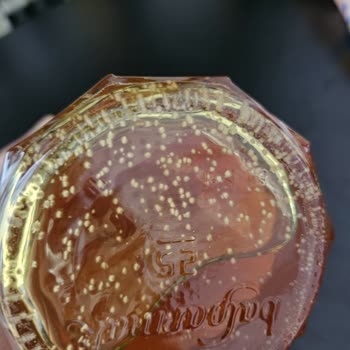 Balparmak Yayla Balında Küf Benzeri Sorun