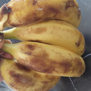 Çürük Ürünler Ve İlgisiz Müşteri Hizmeti