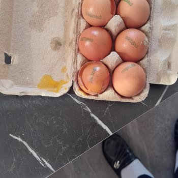 Çürük Ürünler Ve İlgisiz Müşteri Hizmeti