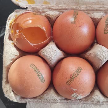 Çürük Ürünler Ve İlgisiz Müşteri Hizmeti