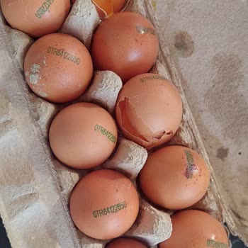 Çürük Ürünler Ve İlgisiz Müşteri Hizmeti