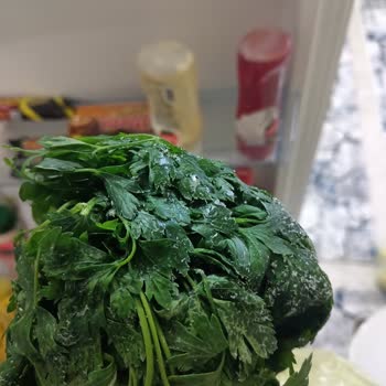 Garantisi Bitmeyen Buzdolabında Sürekli Buzlanma Sorunu