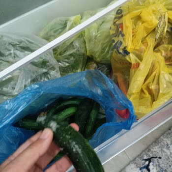 Garantisi Bitmeyen Buzdolabında Sürekli Buzlanma Sorunu