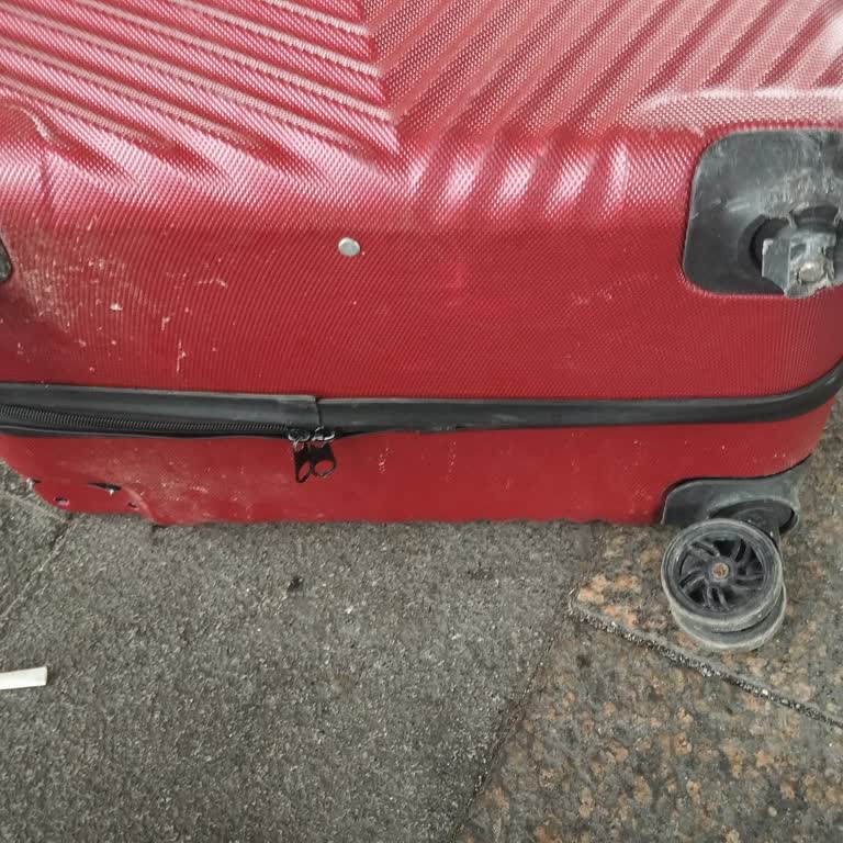 Bizim Iğdır Turizm Valiz Ücreti Ve İlgisizlik Mağduriyeti