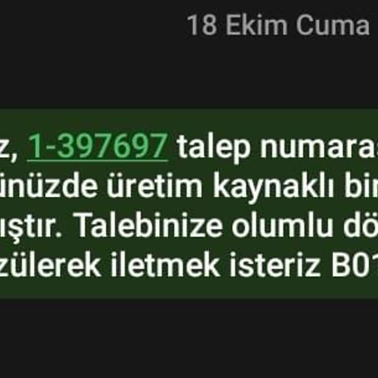 Skechers Ayakkabıda Yan Astar Yırtılması Ve Müşteri Memnuniyetsizliği