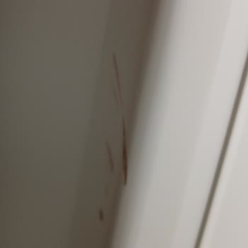 Weltew Home Mobilya Kalitesi Ve Servis Sorunları