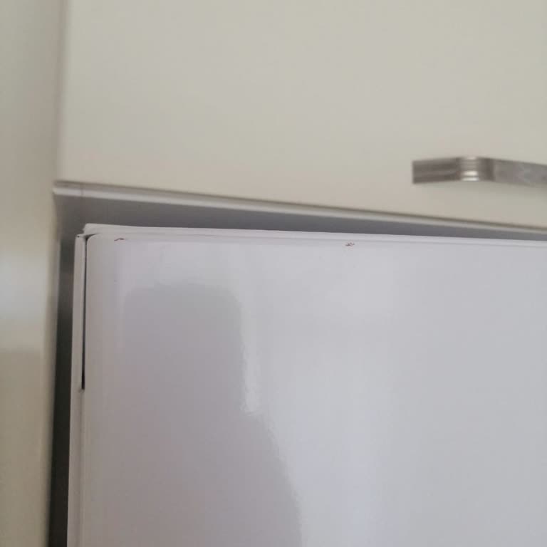 Bosch Beyaz Eşya Alımında Yaşanan Kurulum Ve Servis Sorunları